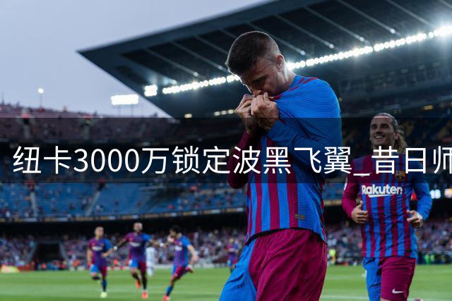 纽卡3000万锁定波黑飞翼 昔日师徒英超再聚首